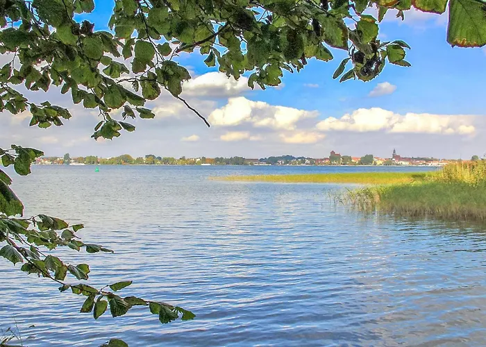 In Mueritz With Wifi בית נופש וארן